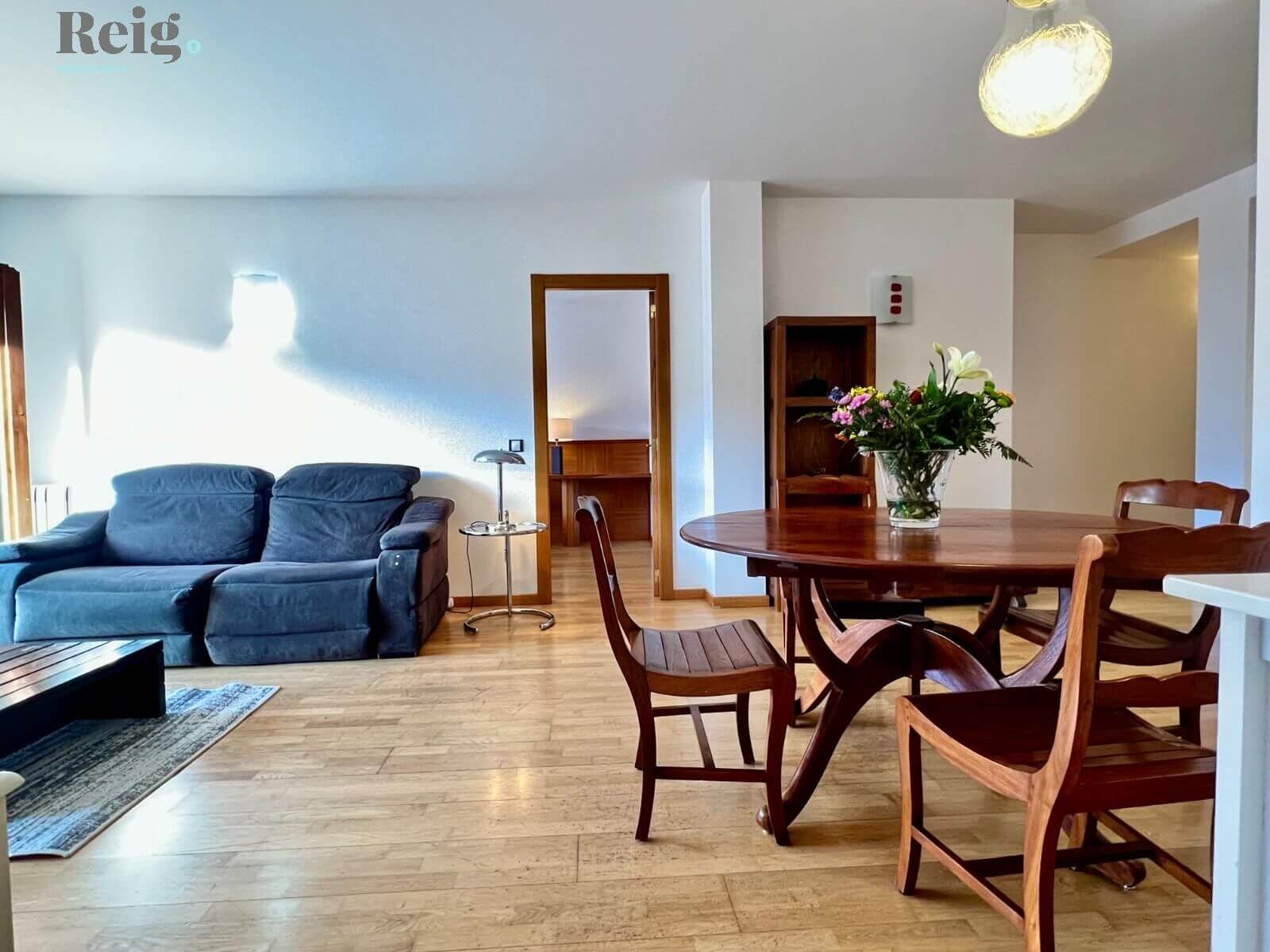 Gran oportunidad en una zona muy tranquila de La Massana - imagen 8